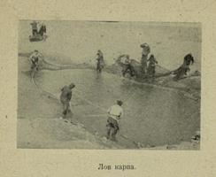  3. Фото из очерка М. С. Перевозчикова «Дары голубой целины», 1968.