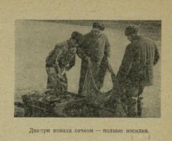  4. Фото из очерка М. С. Перевозчикова «Дары голубой целины», 1968.