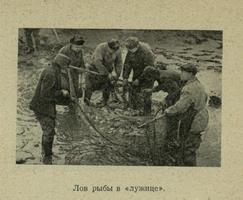  6. Фото из очерка М. С. Перевозчикова «Дары голубой целины», 1968.