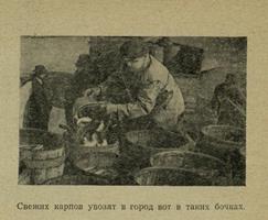  9. Фото из очерка М. С. Перевозчикова «Дары голубой целины», 1968.