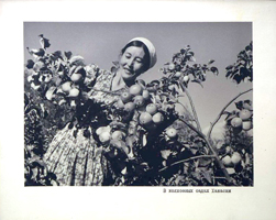 1. Фотоальбом «Красноярский край». «В колхозных садах Хакасии».1959 г. Источник: ГОСКАТАЛОГ.РФ.