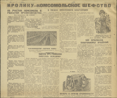 4. Рубрика «Кролику - комсомольское шефство»,  опубликована в газете «Комсомол Хакасии»  6 июля 1932 г.