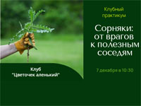 Клубный практикум: «Сорняки: от врагов к полезным соседям»
